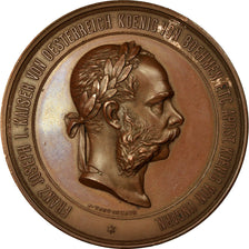 Austria, Medal, Exposition Internationale de Vienne, François Joseph Ier, 1873