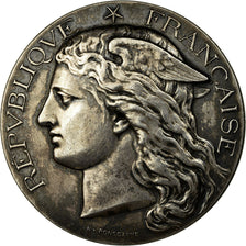 France, Medal, Hygiène, Vaccine, Docteur Dezautière, 1893, Ponscarme