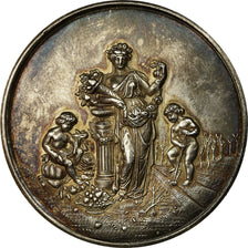 France, Medal, Société d'Horticulture de Vincennes, Exposition, 1880