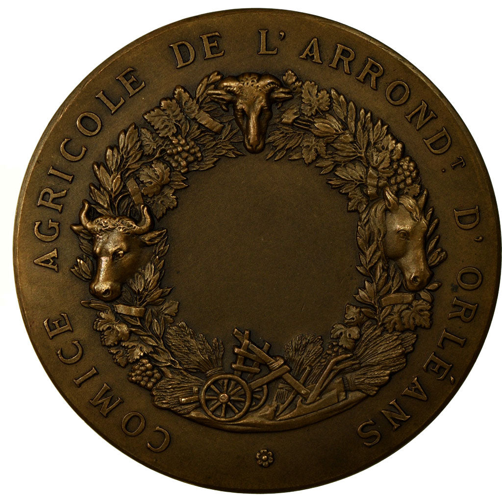 França, Medal, Comice Agricole de l'Arrondissement d'Orléans, Roty, MS(63)