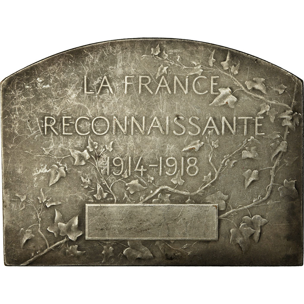 França, Medal, Reconnaissance de la Nation, Guerre, 1914-1918, Stern
