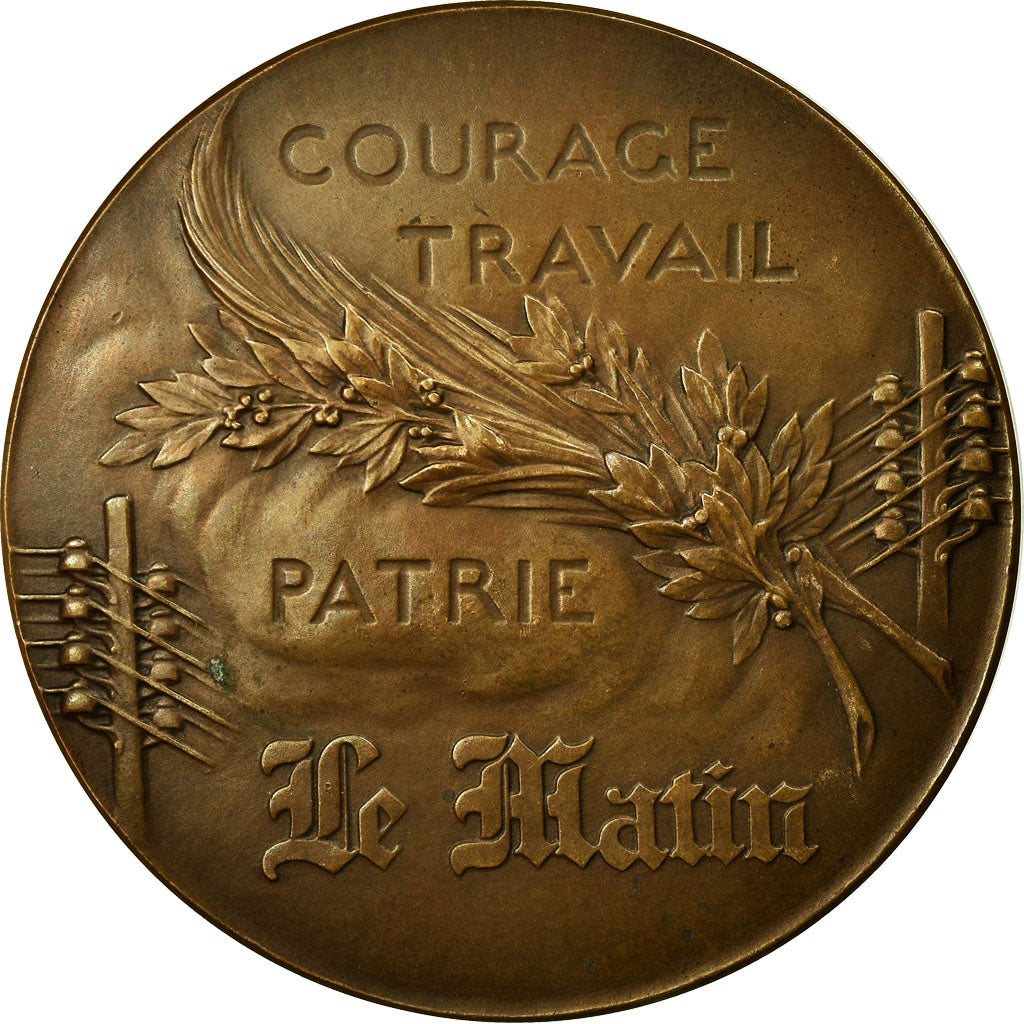 France, Medal, Art Nouveau, Journal Le Matin, 1904, Riberon, AU(55-58), Bronze