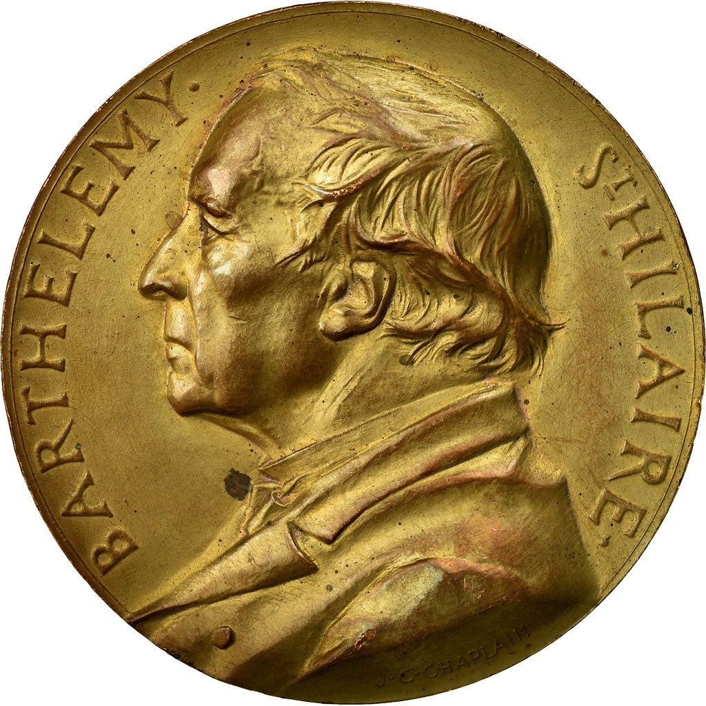 France, Medal, Barthélémy Saint-Hilaire, Académie des Sciences, Chaplain