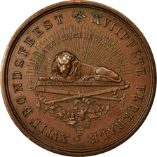 Bélgica, Medal, 18ème Fête Fédérale , Ostende, 1888, AU(55-58), Cobre