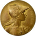 United Kingdom , Médaille, Food and Health, London, 1896, Rives, SUP, Bronze
