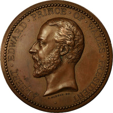 United Kingdom , Medal, Albert Edward, Exposition Internationale, Londres, 1874