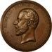 United Kingdom , Medal, Albert Edward, Exposition Internationale, Londres, 1874