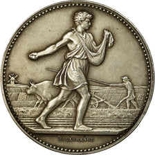 France, Medal, Comice Agricole et Viticole d'Auxerre, Lagrange, AU(55-58)