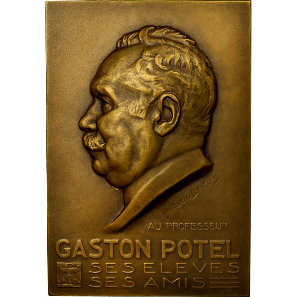 France, Médaille, Médecine, Professeur Gaston Potel, H. Soubricas, SPL, Bronze