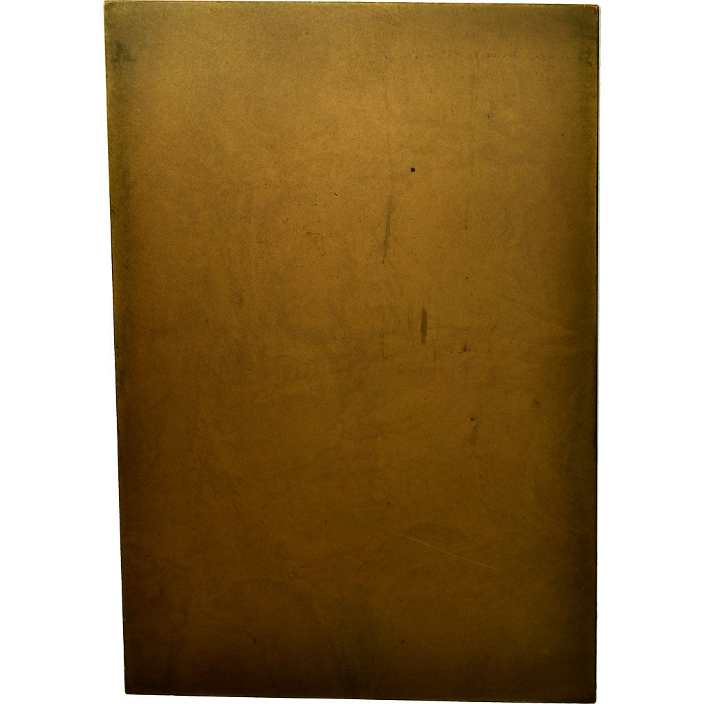 France, Médaille, Médecine, Professeur Gaston Potel, H. Soubricas, SPL, Bronze