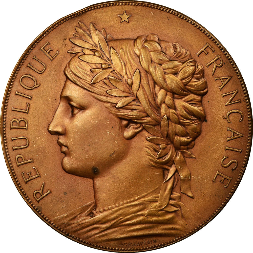 Frankreich, Medaille, Assemblée Nationale, Révision Partielle des Lois, 1884
