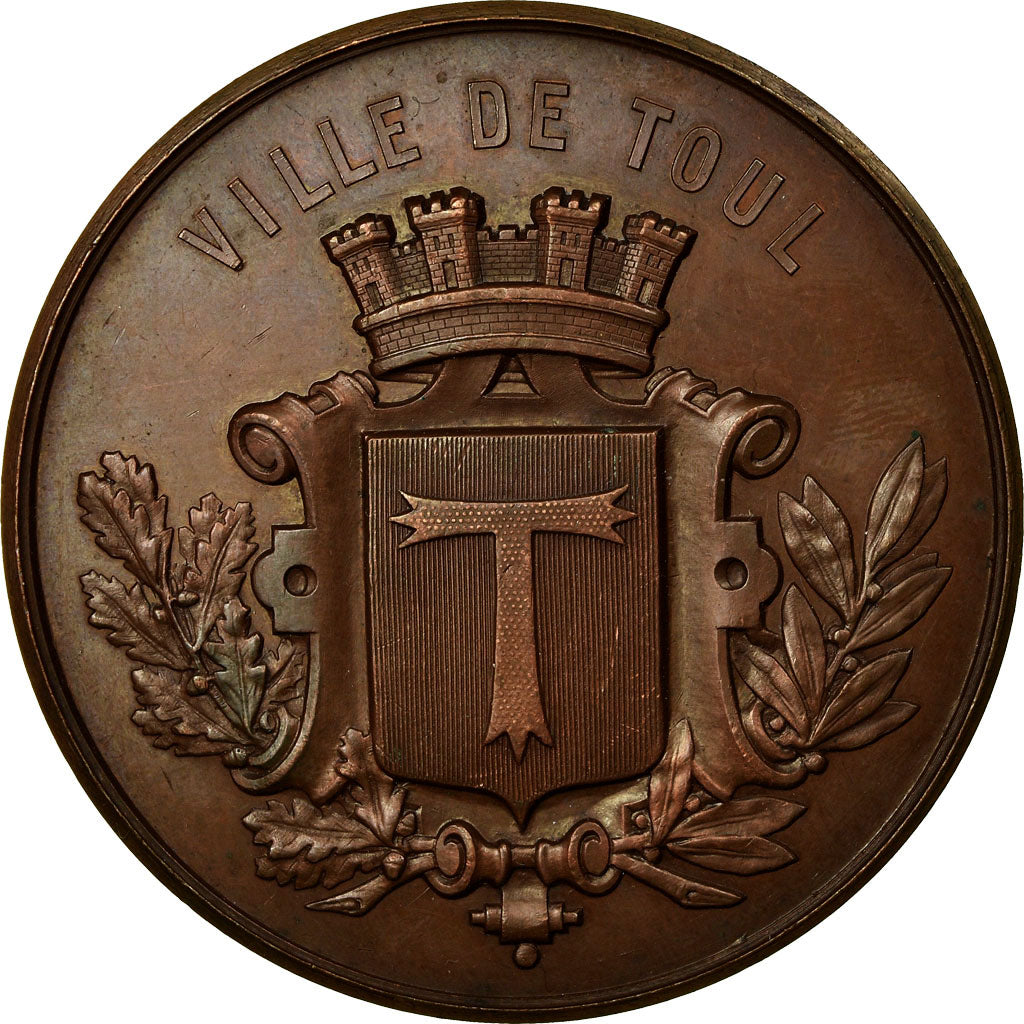 France, Medal, Concours de Tir, Ville de Toul, 1880, AU(55-58), Bronze