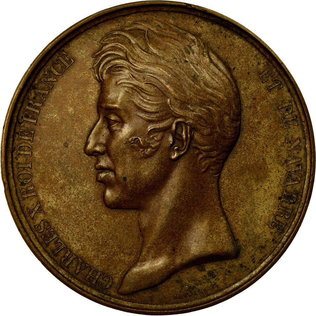 França, Medal, Charles X, Chambres des Députés, 1829, Gayrard, AU(55-58)