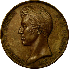 França, Medal, Charles X, Chambres des Députés, 1829, Gayrard, AU(55-58)