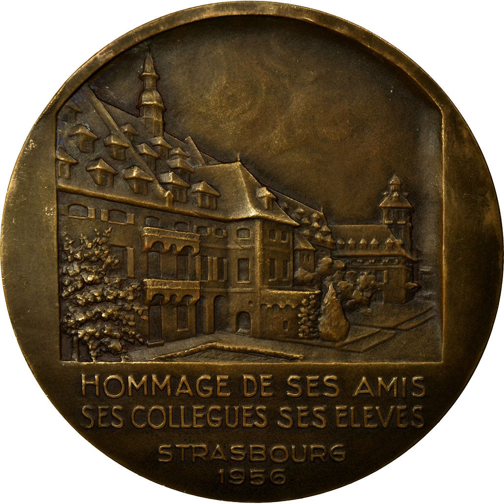 France, Medal, Médecine, Professeur E. Vaucher, Strasbourg, 1956, Delannoy
