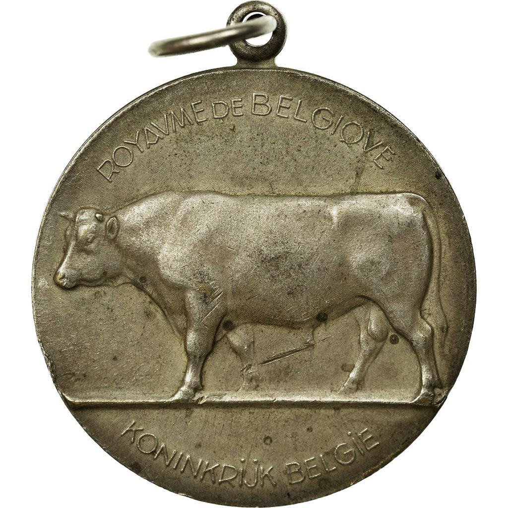 Bélgica, medalla, Ministère de l'Agriculture, 1958, De Meest, EBC, Bronce