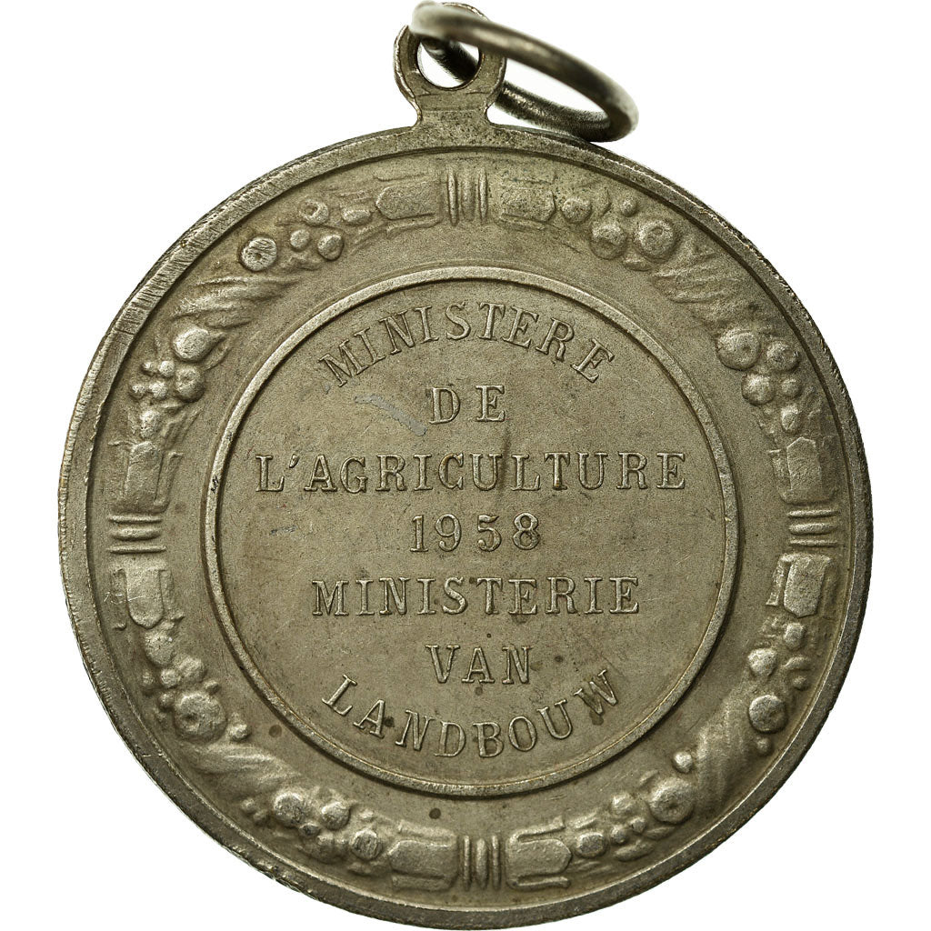Bélgica, medalla, Ministère de l'Agriculture, 1958, De Meest, EBC, Bronce