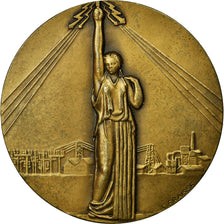 France, Medal, Compagnie Industrielle des Télécommunications, Alcatel