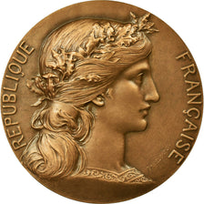 França, Medal, Marianne, Ville de Reims, Dubois.H, MS(60-62), Bronze