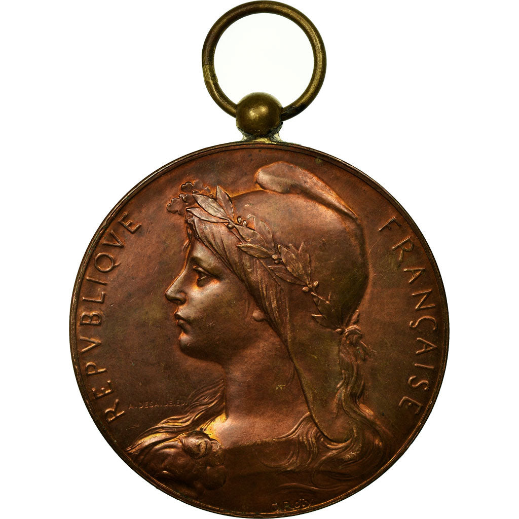 France, Medal, Fêtes Internationales, Ville de Roubaix, 1894, Roty, AU(55-58)