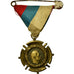 Serbie, Médaille commémorative de Serbie, Médaille, 1914-1918, Très bon