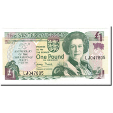 Jersey, 1 Pound, 1993, KM:20a, UNC(65-70)