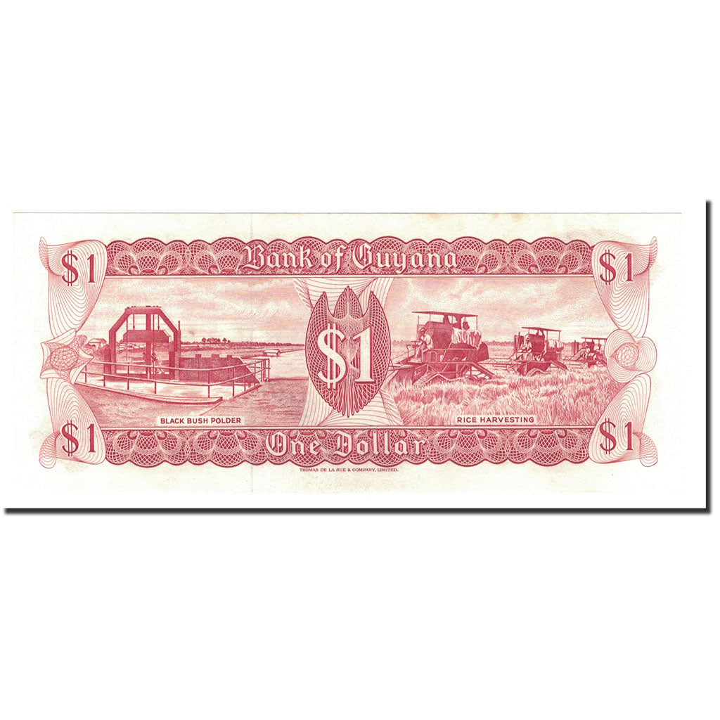 Billet, Guyana, 1 Dollar, Undated (1966-92), KM:21g, NEUF