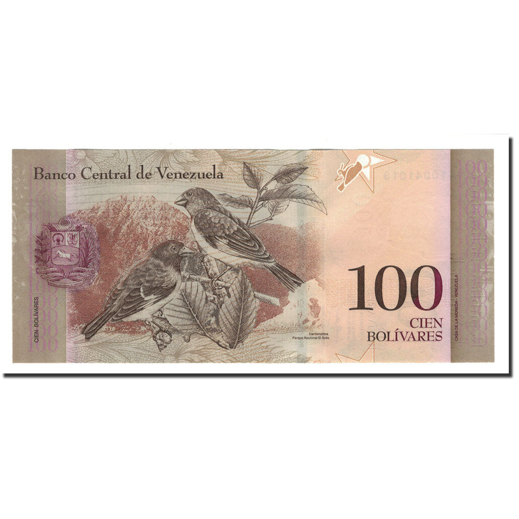 Banknote, Venezuela, 100 Bolivares, 2007, 2007-03-20, KM:93a, UNC(65-70)