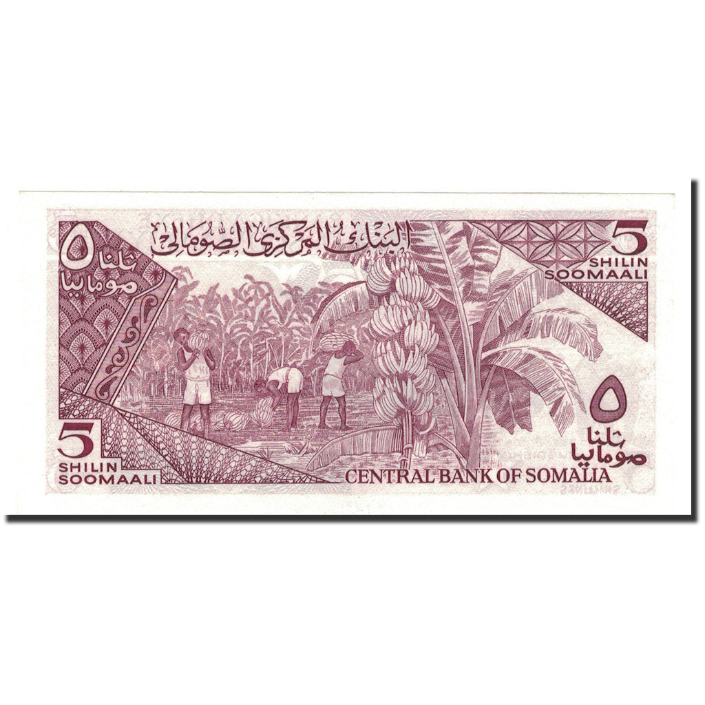 Somalia, 5 Shilin = 5 Shillings, 1983, KM:31a, UNC(64)