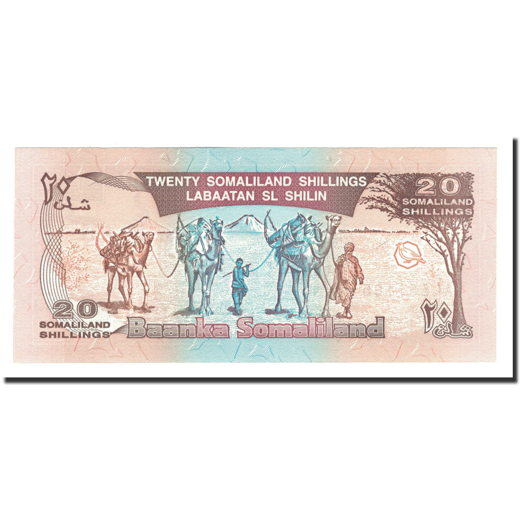 Banknote, Somaliland, 20 Shillings = 20 Shilin, 1996, KM:3b, UNC(65-70)