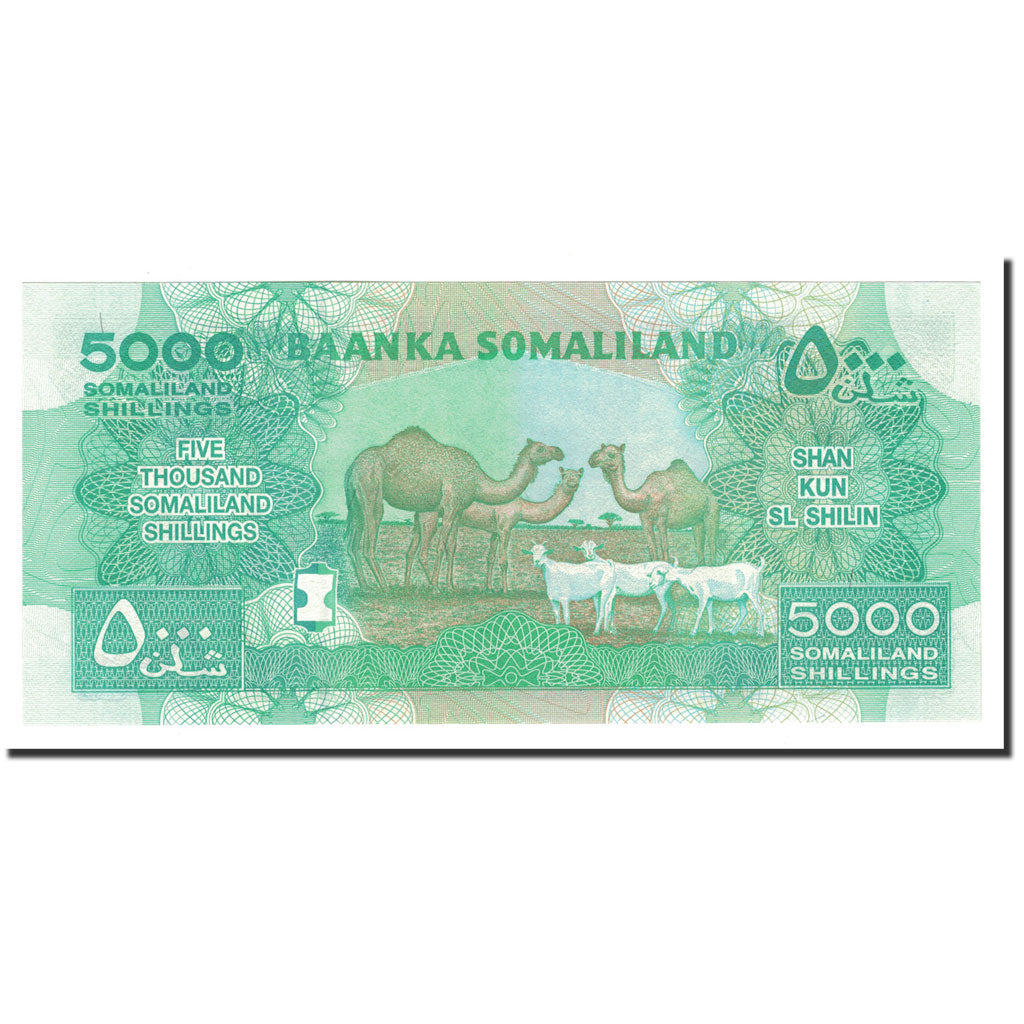 Banconote, Somaliland, 5000 Shillings, 2011, KM:21, FDS