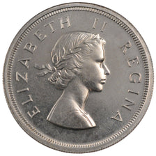 Sudafrica, Elizabeth II, 5 Shillings, 1953, SPL, Argento, KM:52