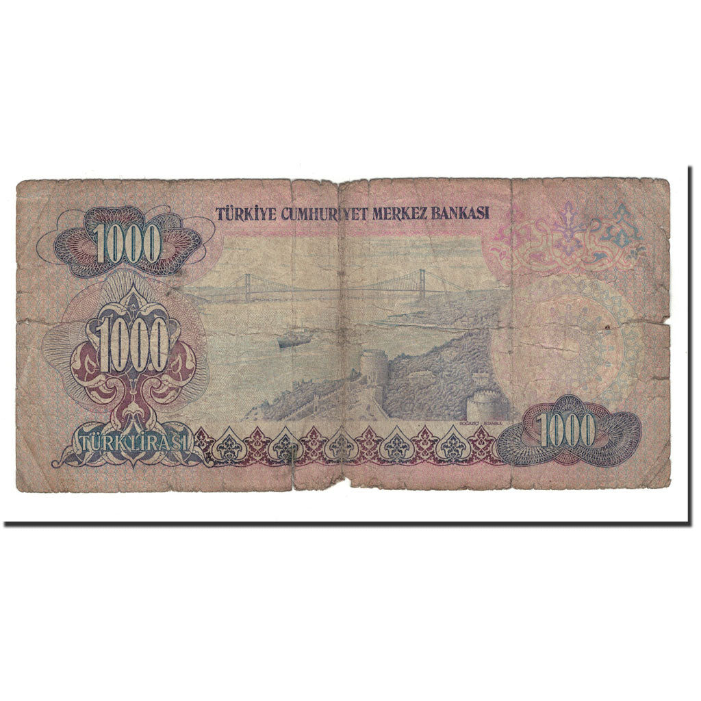 Geldschein, Türkei, 1000 Lira, L.1970, 1970-01-14, KM:191, SGE