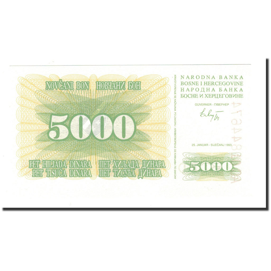 Banknote, Bosnia - Herzegovina, 5000 Dinara, 1993, 1993-01-25, KM:16a