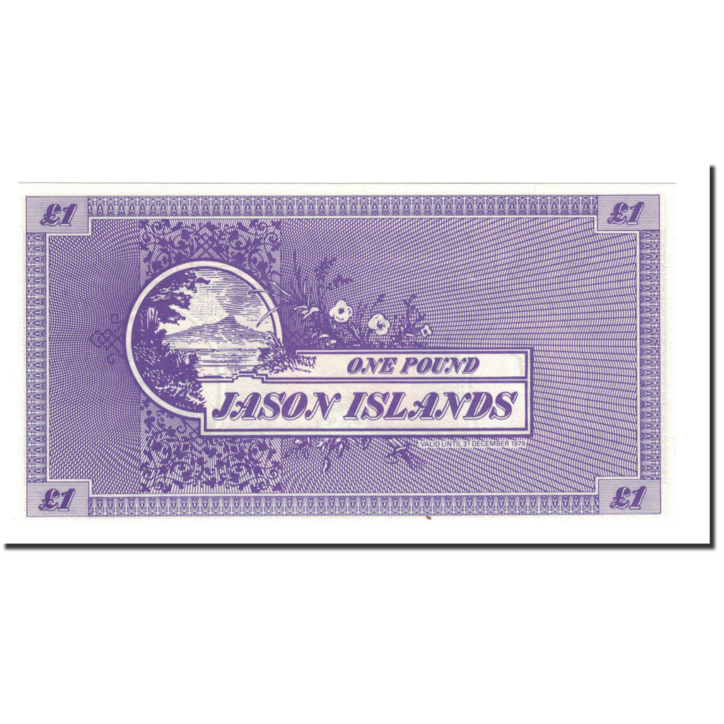 Banknote, Other, 1 Pound, UNC(65-70)