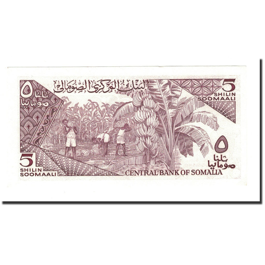 Banknote, Somalia, 5 Shilin = 5 Shillings, 1983-1987, 1987, KM:31c, UNC(65-70)