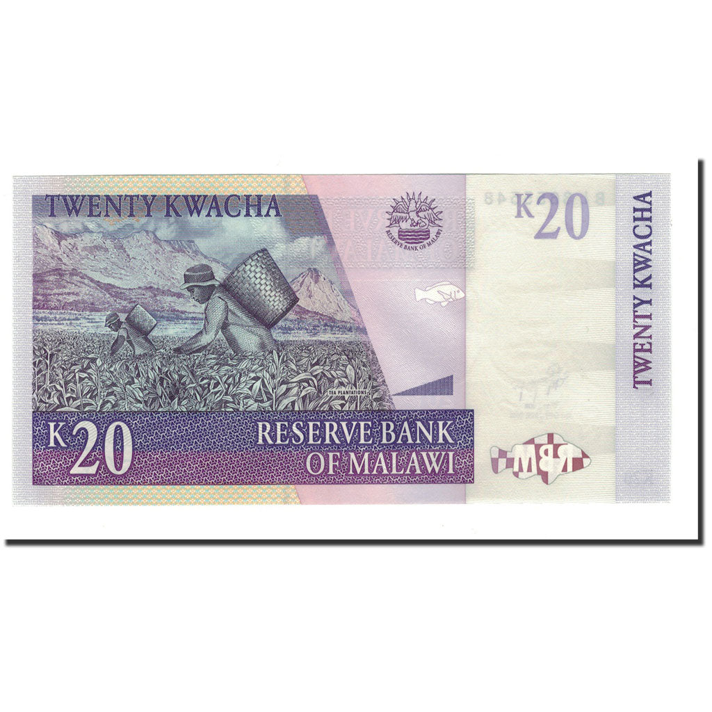 Billete, 20 Kwacha, 2007, Malawi, 2007-10-31, KM:52c, UNC