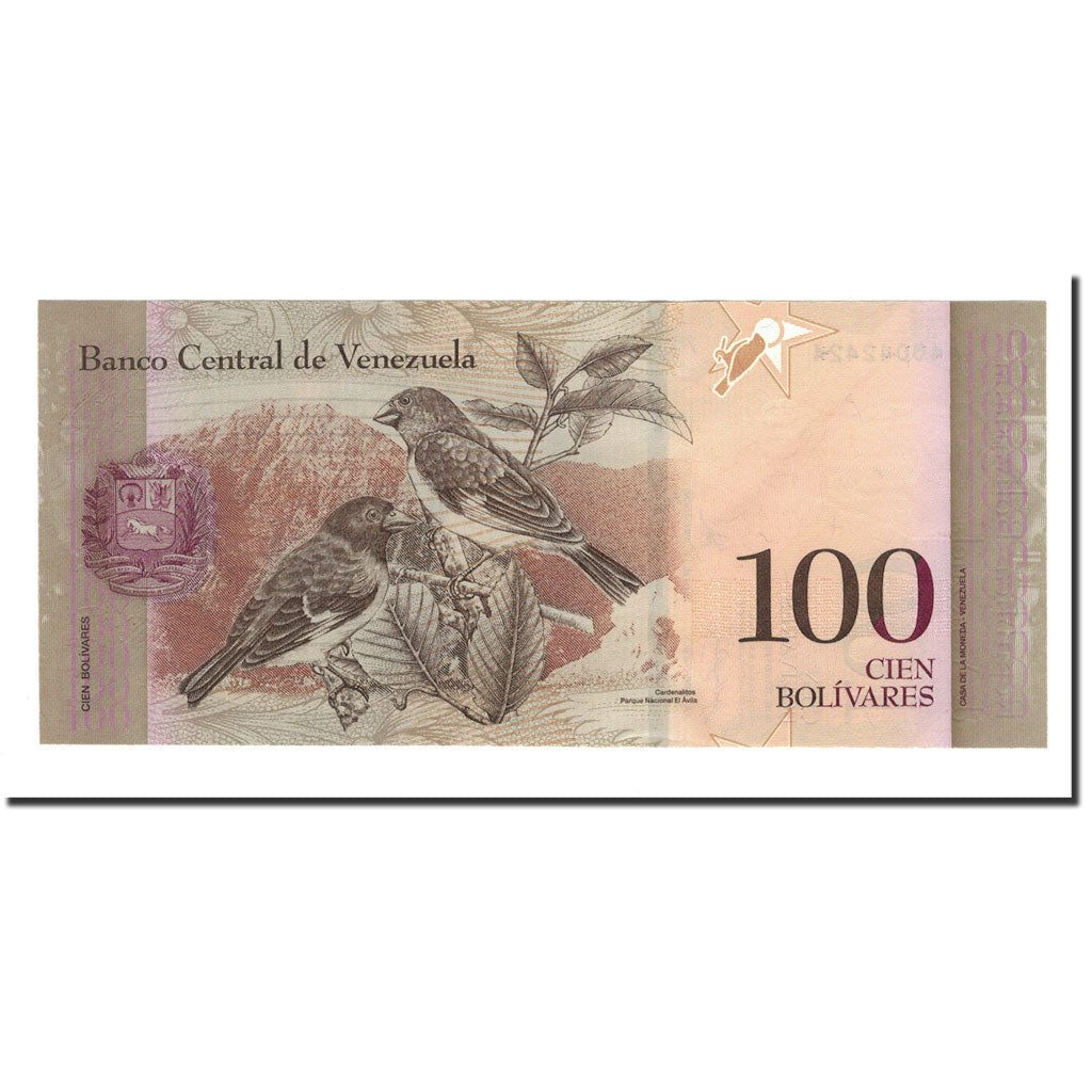 Banknote, Venezuela, 100 Bolivares, 2007, 2007-03-20, KM:93a, UNC(65-70)