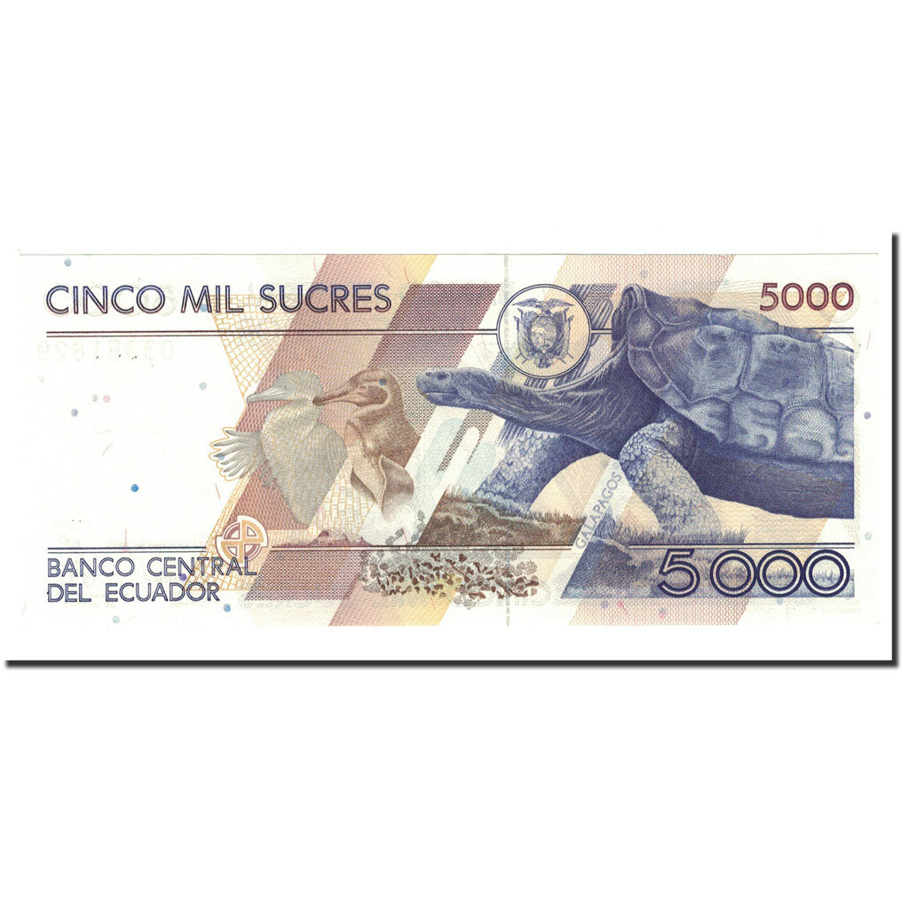 Banknote, Ecuador, 5000 Sucres, 1991-99, 1999-03-26, KM:128c, UNC(65-70)