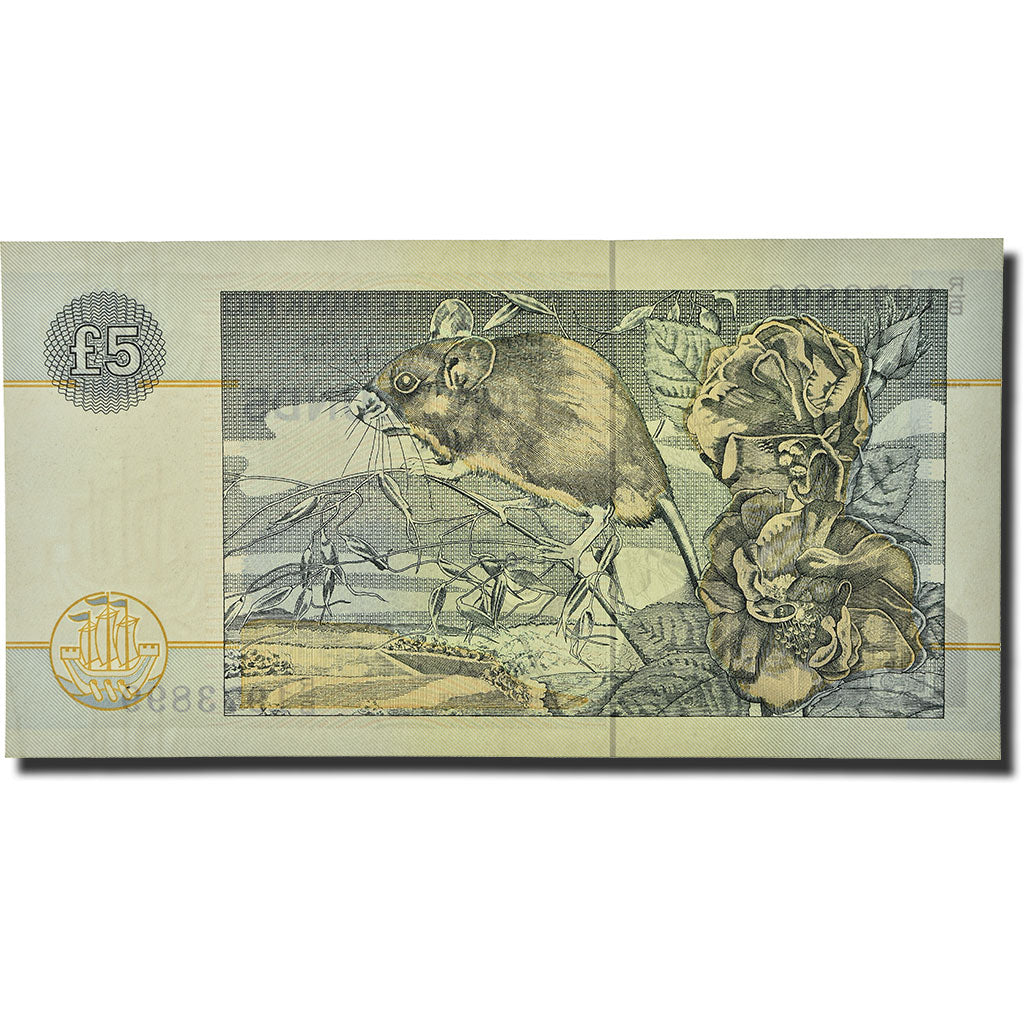 Banknote, Scotland, 5 Pounds, 1982-1989, 1996-07-21, KM:212d, UNC(65-70)