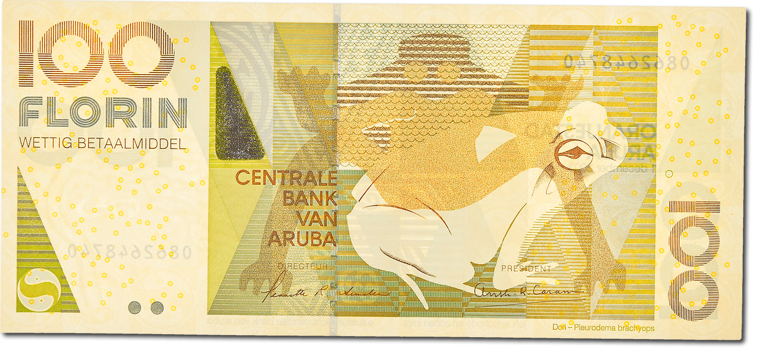 Banknote, Aruba, 100 Florin, 2003, 2003-12-01, KM:19a, UNC(65-70)