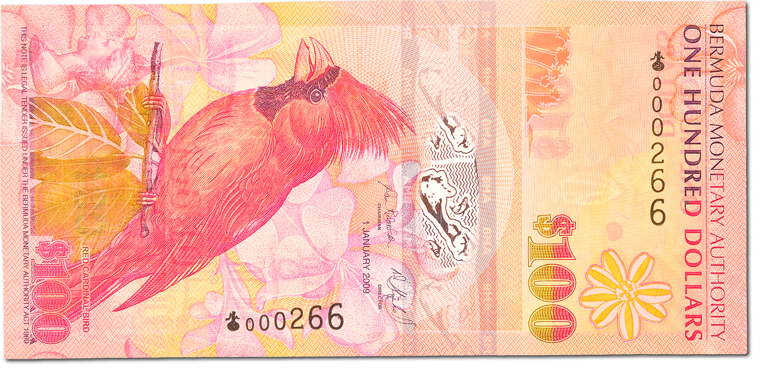 Geldschein, Bermuda, 100 Dollars, 2009, 2009-01-01, KM:62a, UNZ-