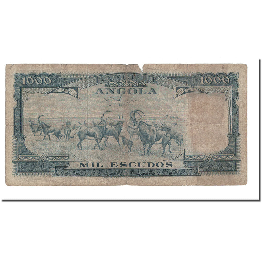 Banknote, Angola, 1000 Escudos, 1962, 1962-06-10, KM:96, VG(8-10)