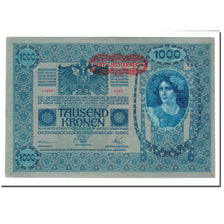 Banknote, Austria, 1000 Kronen, 1902, 1902-01-02, KM:8a, AU(50-53)