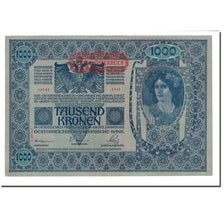 Banknote, Austria, 1000 Kronen, 1902, 1902-01-02, KM:8a, EF(40-45)