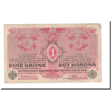 Banknote, Austria, 1 Krone, 1919, 1916-12-01, KM:49, EF(40-45)