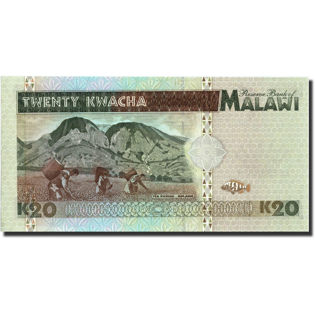 Banconote, Malawi, 20 Kwacha, 1995, KM:32, 1995-06-01, FDS