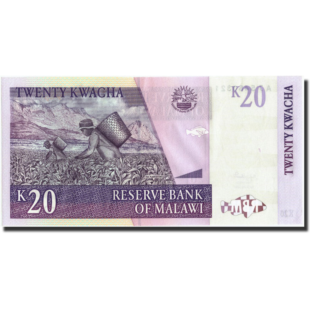 Geldschein, Malawi, 20 Kwacha, 2004, 2004-06-01, KM:52a, UNZ