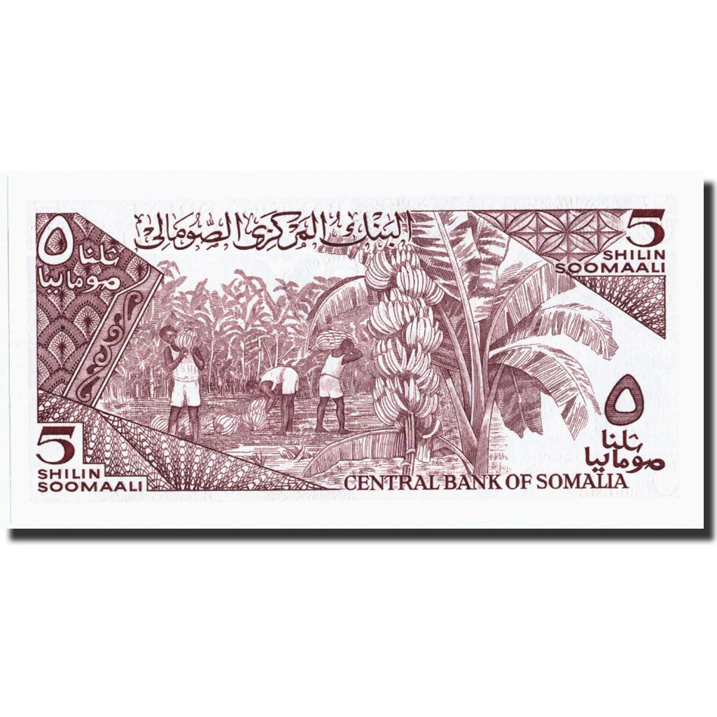 Banknote, Somalia, 5 Shilin = 5 Shillings, 1986, 1986, KM:31b, UNC(65-70)