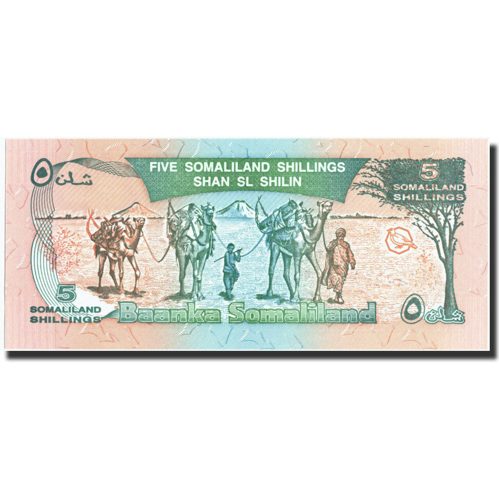 Banknote, Somalia, 5 Scellini = 5 Shillings, 1994, 1994, KM:1a, UNC(65-70)
